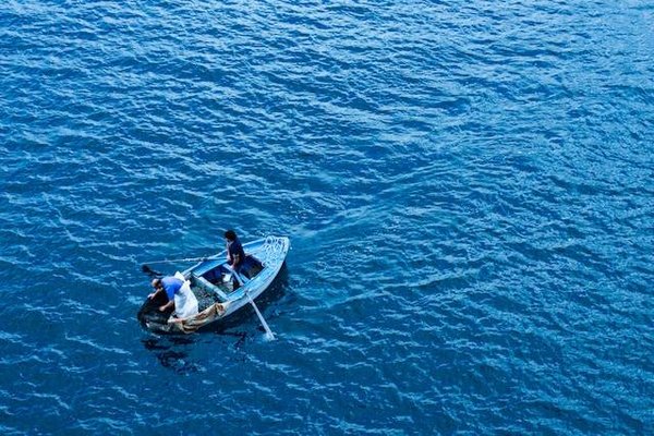 Tout ce que vous devez savoir sur les règles et les bonnes pratiques de la chasse et de la pêche