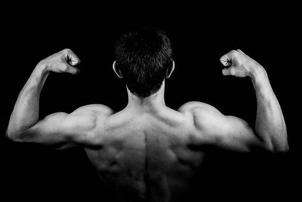 Comment choisir son équipement de combat selon sa discipline ?