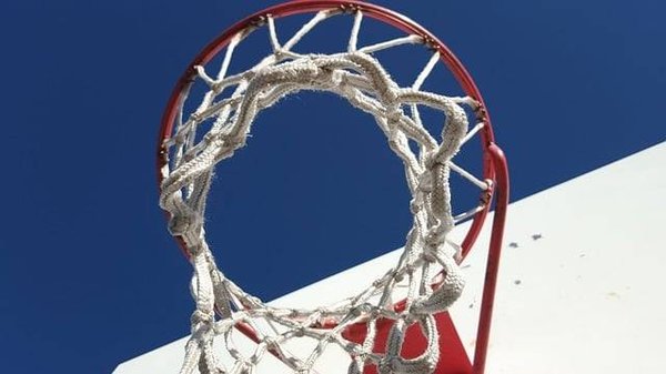 Choisir le Meilleur Panier de Basket : Comparatif et Avis d'Experts